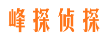 宜阳峰探私家侦探公司